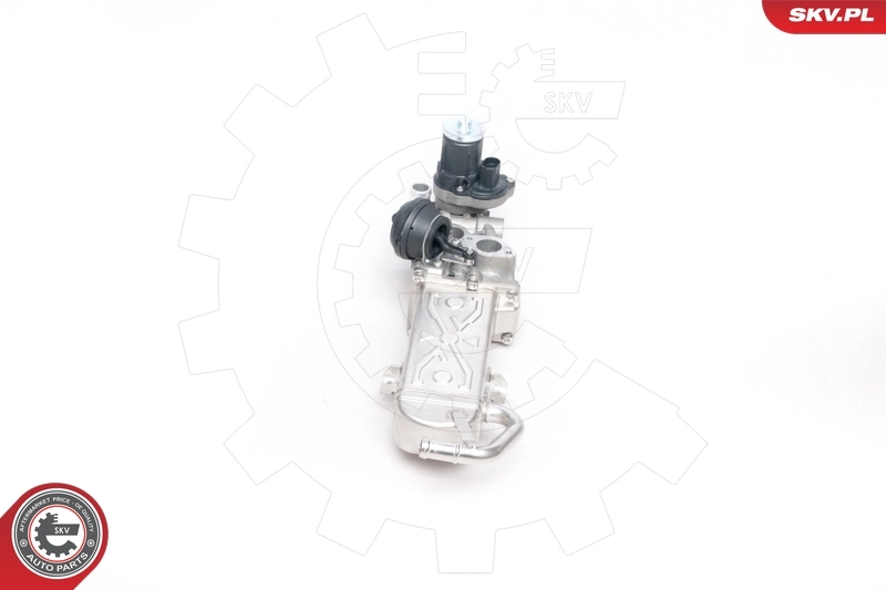 EGR Valve 14SKV094