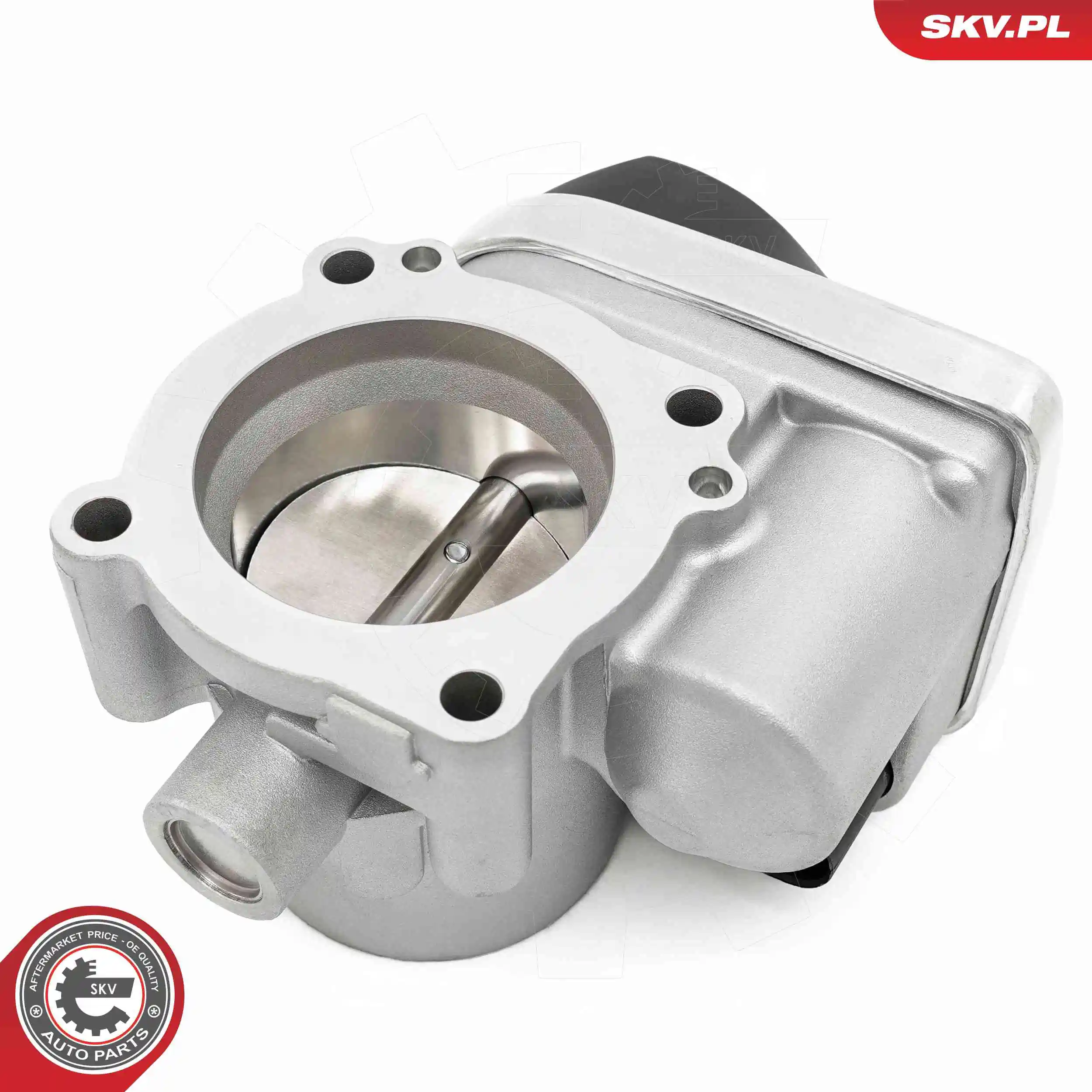Throttle Body 12SKV146
