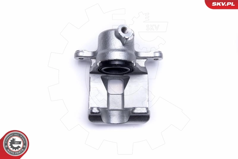 Brake Caliper 55SKV364