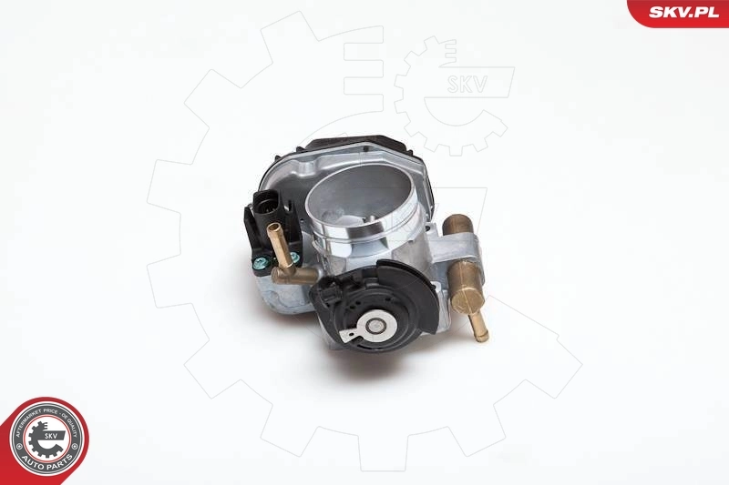 Throttle Body 12SKV003