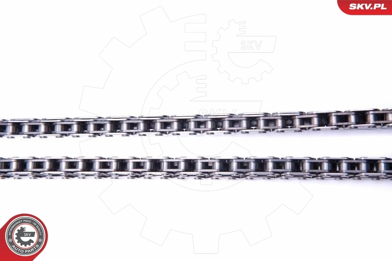 Timing Chain Kit 21SKV114