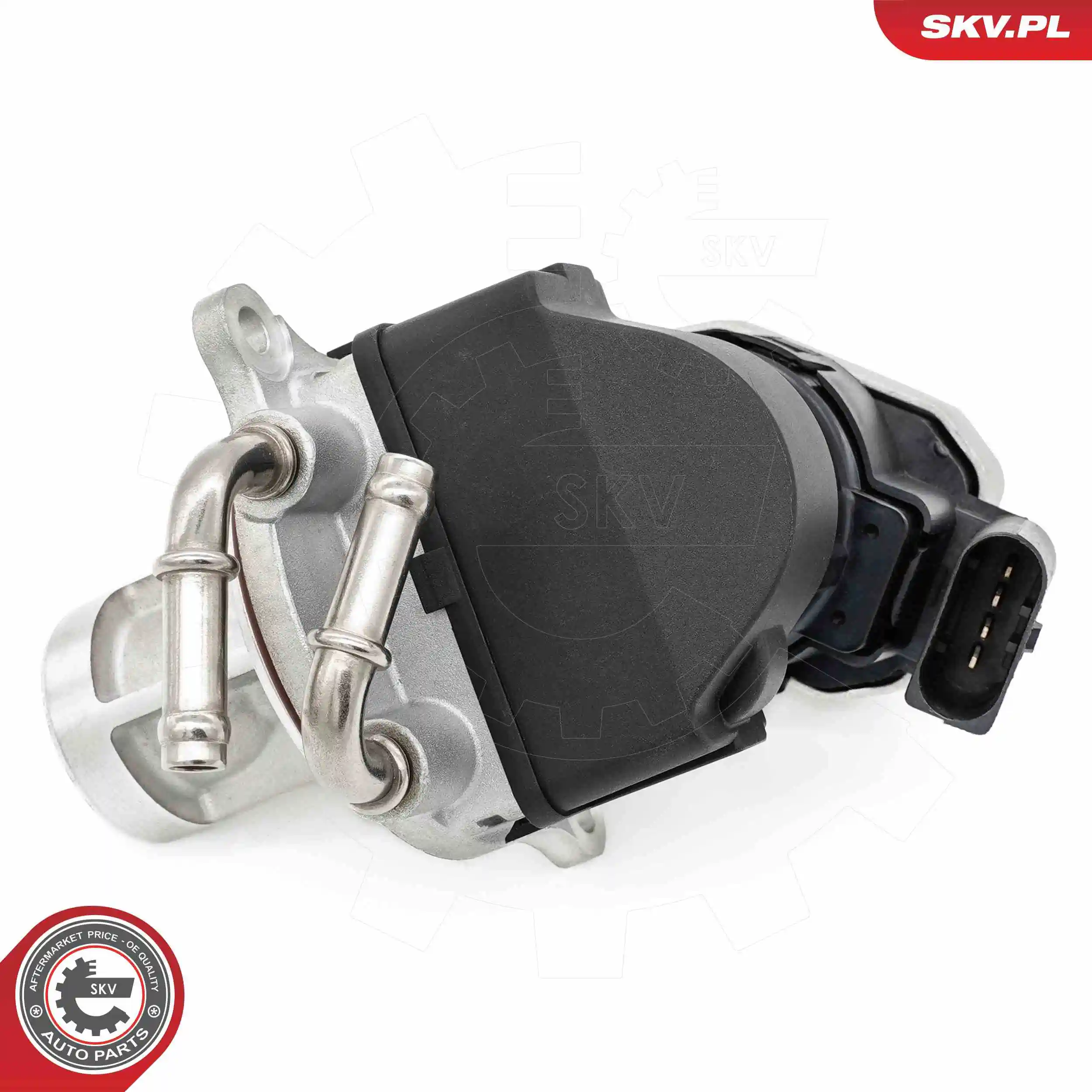 EGR Valve 14SKV255