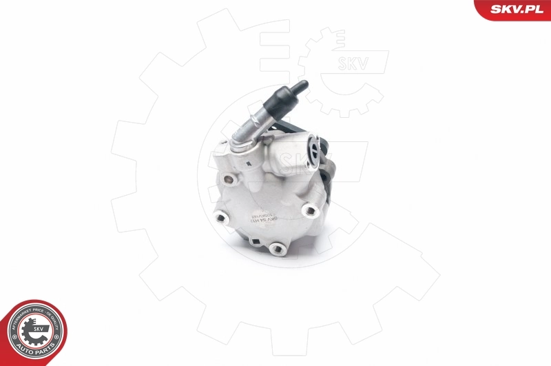 Hydraulic Pump, steering 10SKV187