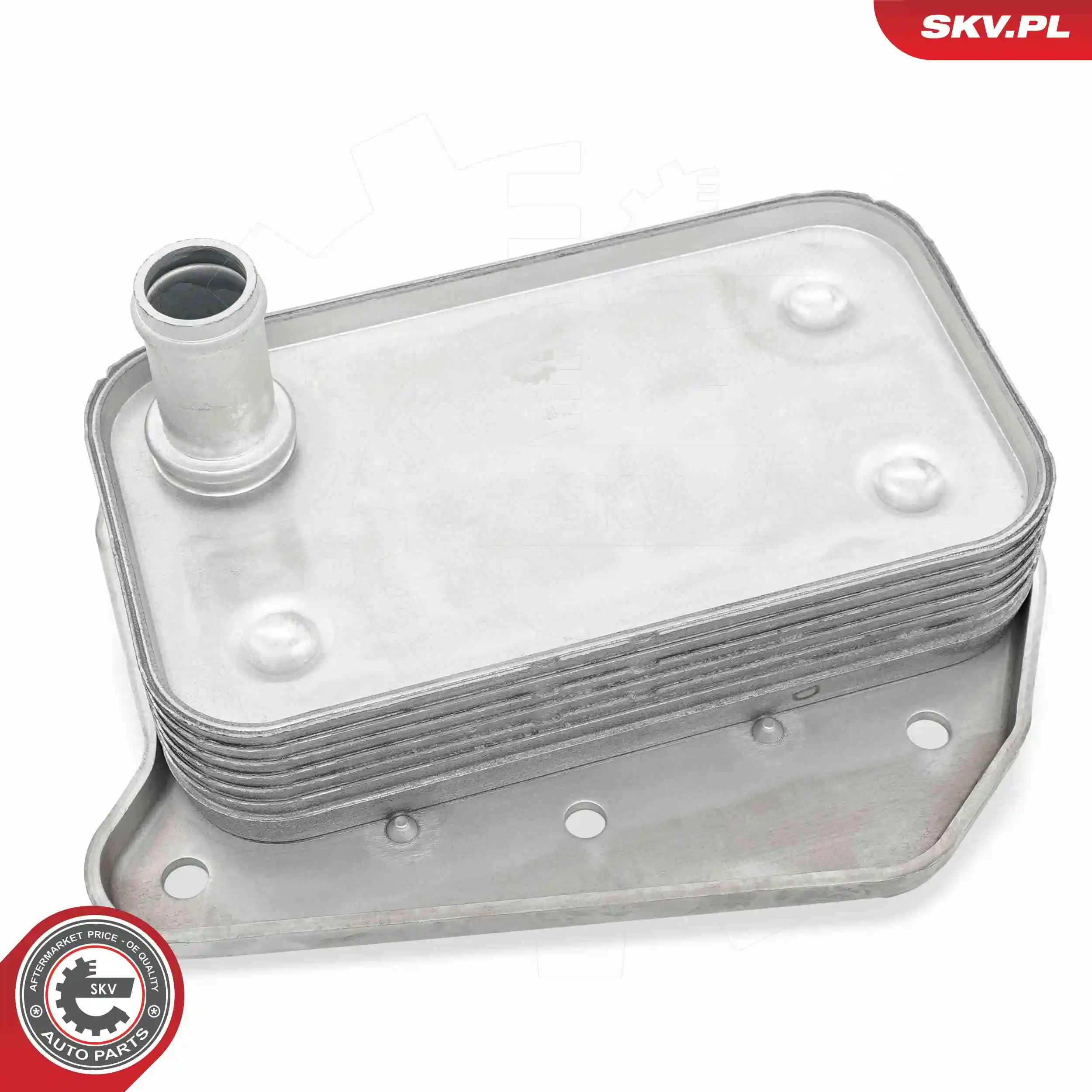 Oil Cooler, engine oil 31SKV282