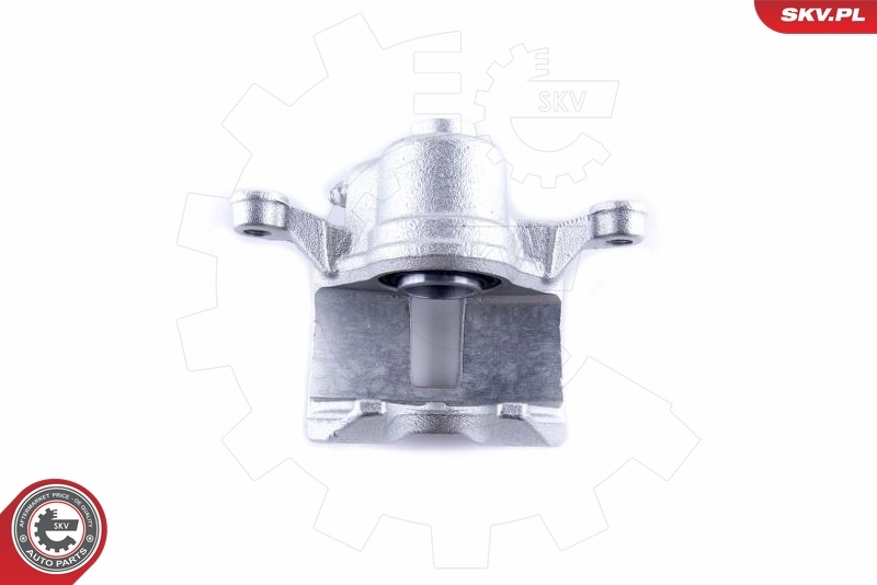 Brake Caliper 50SKV844