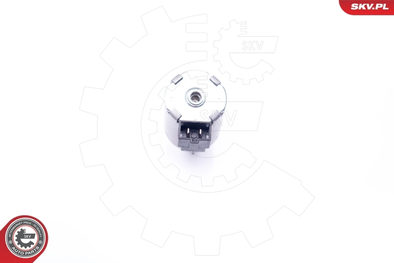 Control Valve, camshaft adjustment 39SKV027