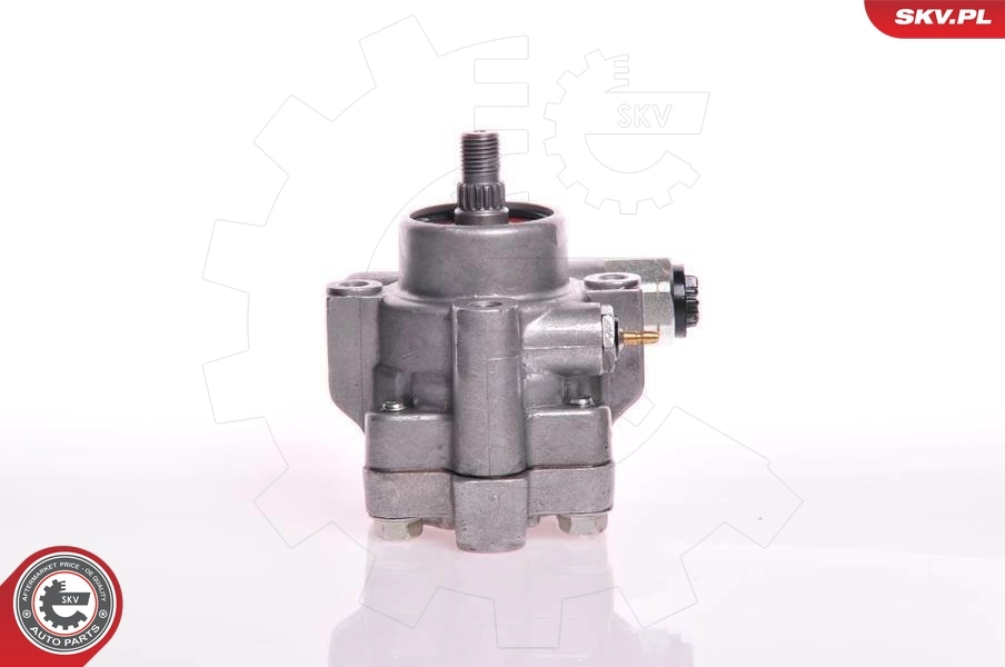 Hydraulic Pump, steering 10SKV132