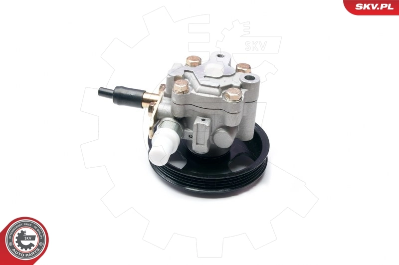 Hydraulic Pump, steering 10SKV228