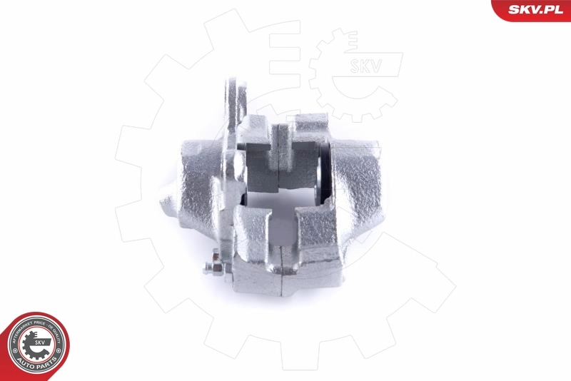 ESEN SKV 55SKV224 Brake Caliper