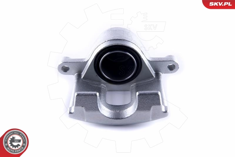 Brake Caliper 55SKV461