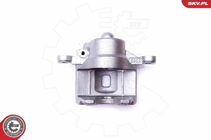 Brake Caliper 45SKV692