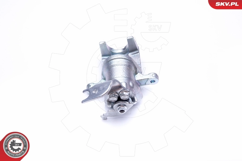 Brake Caliper 45SKV184