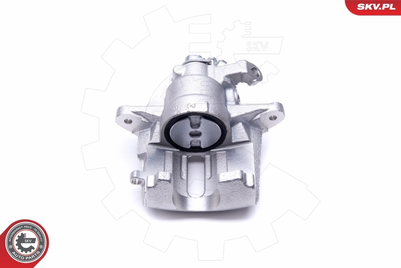 Brake Caliper 42SKV912