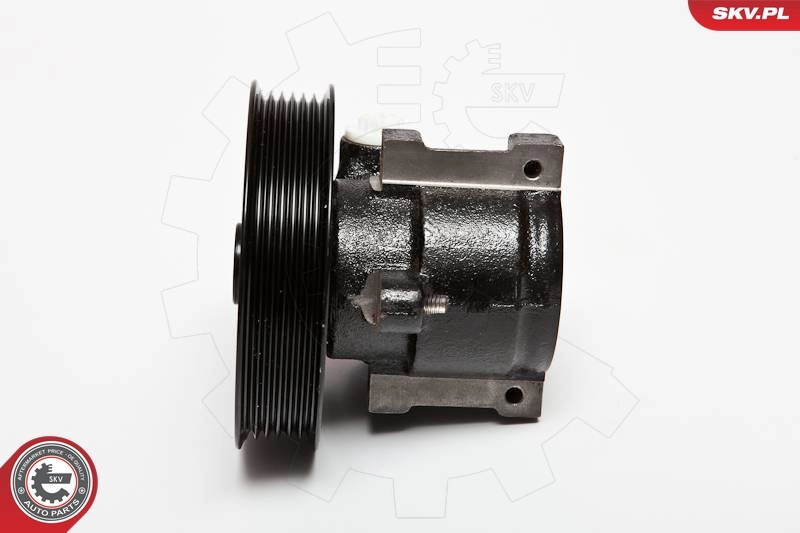 Hydraulic Pump, steering 10SKV066