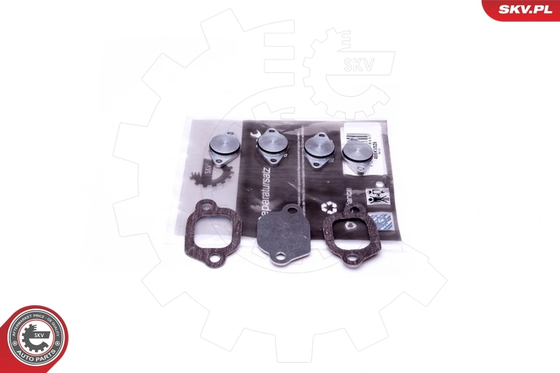 Repair Kit, intake manifold module 49SKV529