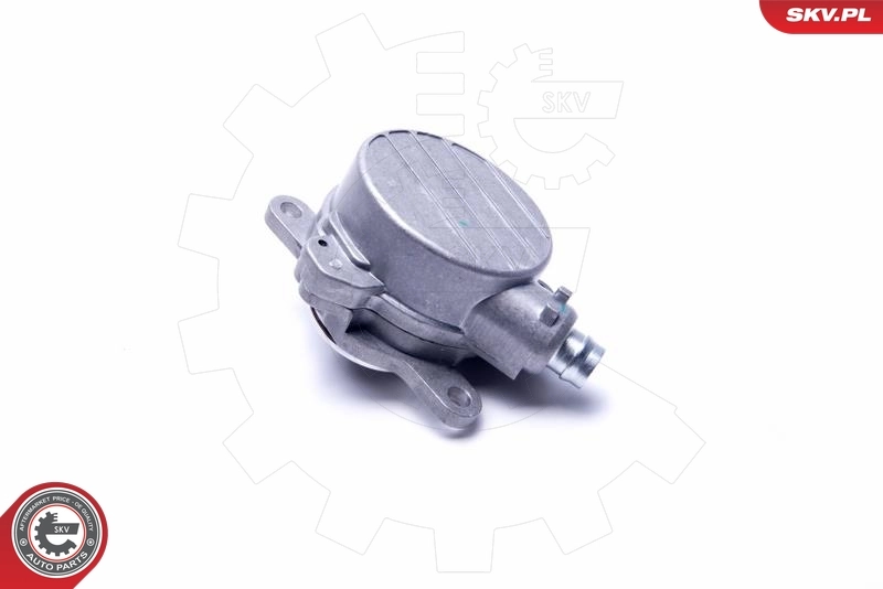 Vacuum Pump, braking system 18SKV048
