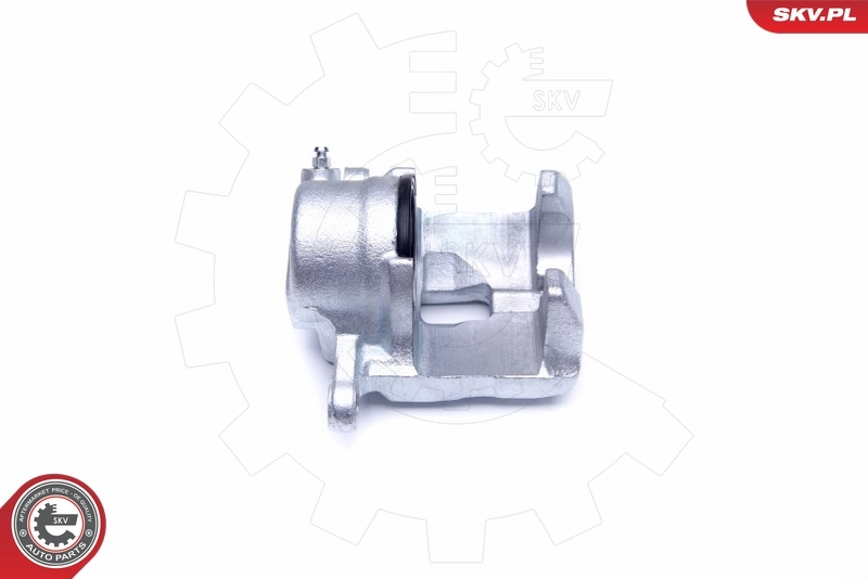 Brake Caliper 44SKV021