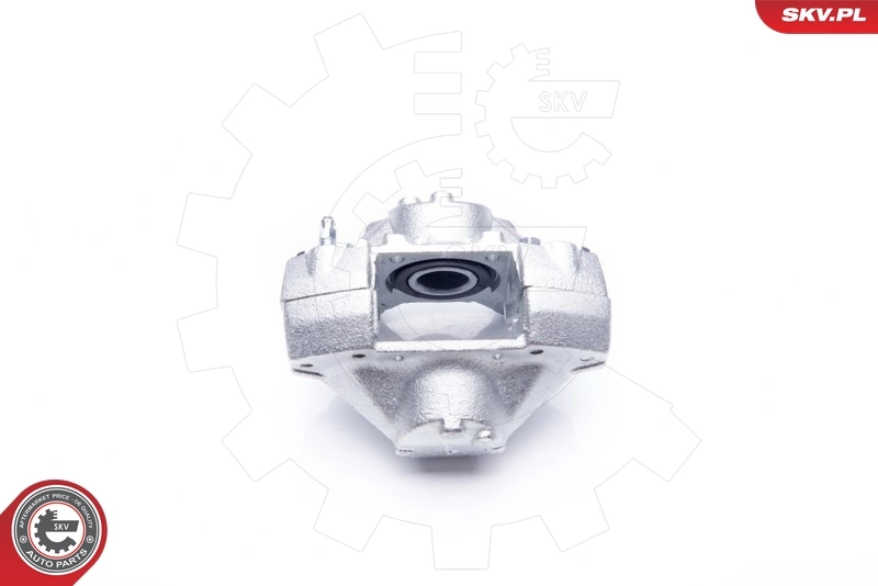 Brake Caliper 42SKV013