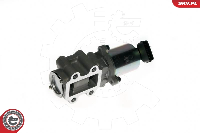 EGR Valve 14SKV088