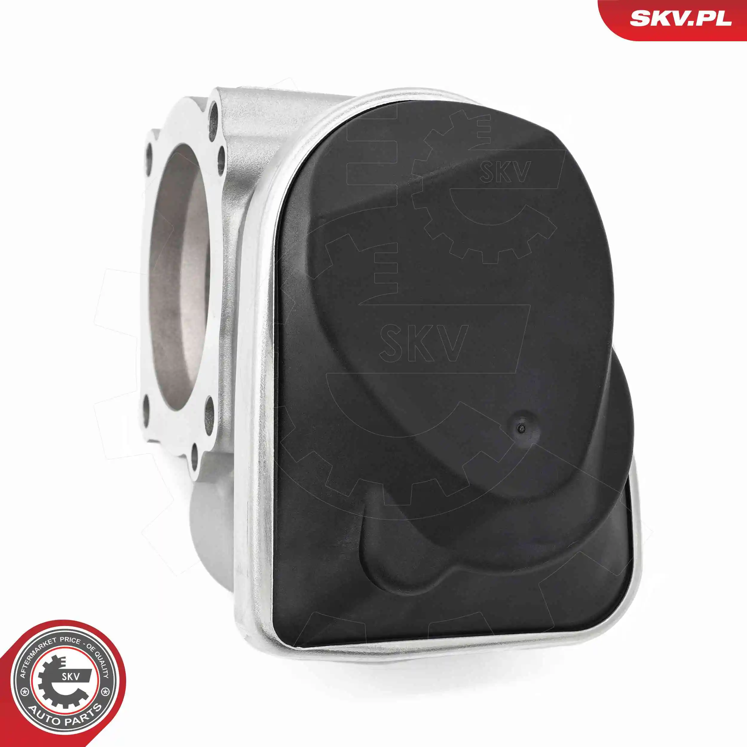 Throttle Body 12SKV146