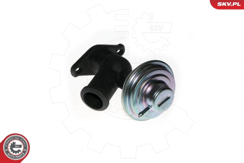 EGR Valve 14SKV077