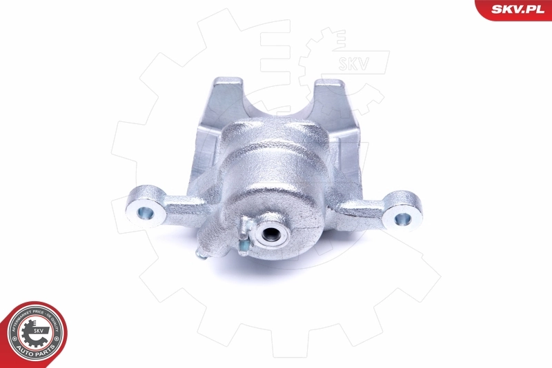 Brake Caliper 46SKV113