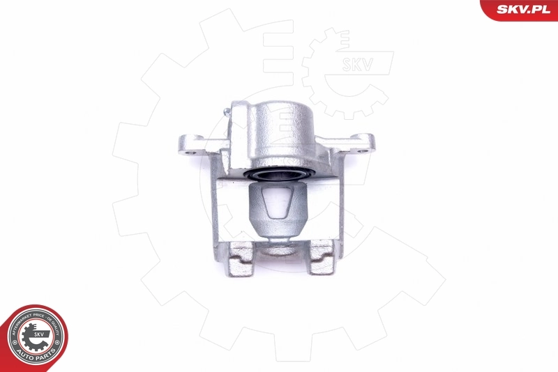 Brake Caliper 42SKV794