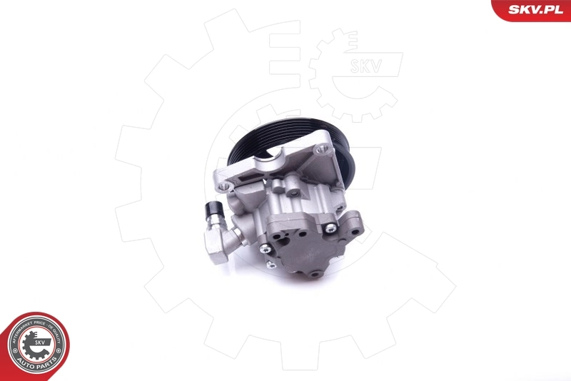 Hydraulic Pump, steering 10SKV270