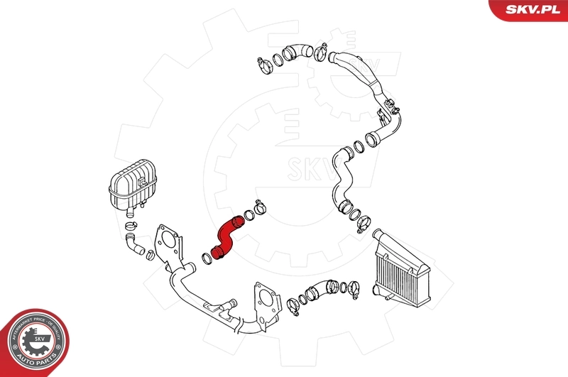 Charge Air Hose 24SKV014