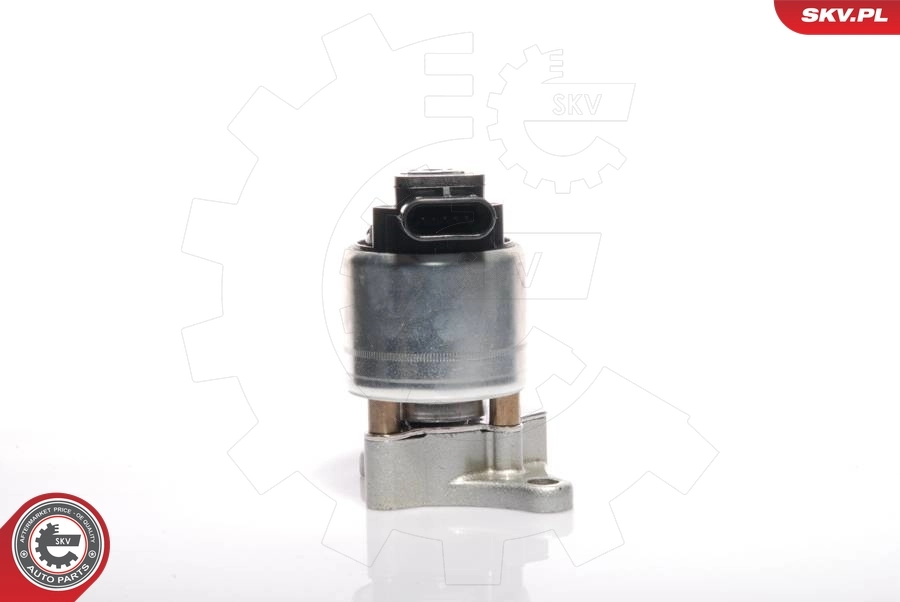 EGR Valve 14SKV017