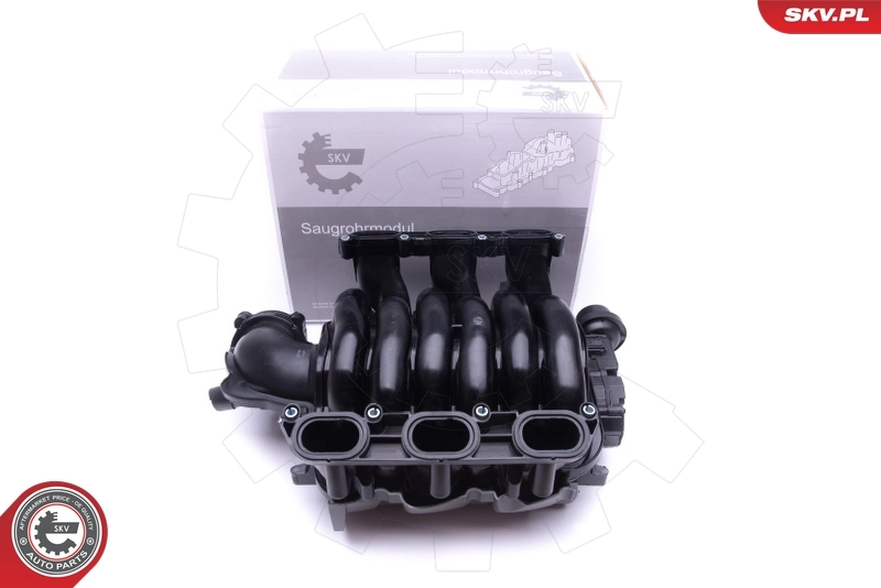 Intake Manifold Module 49SKV002