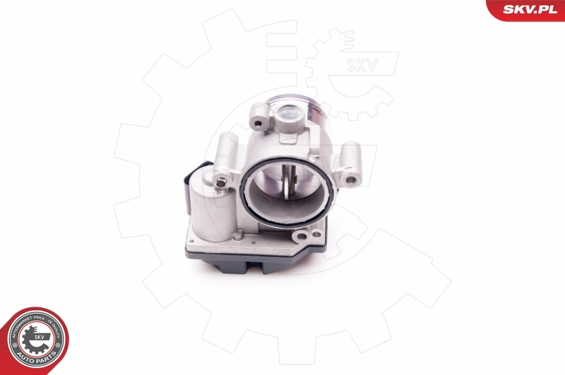 Throttle Body 12SKV064