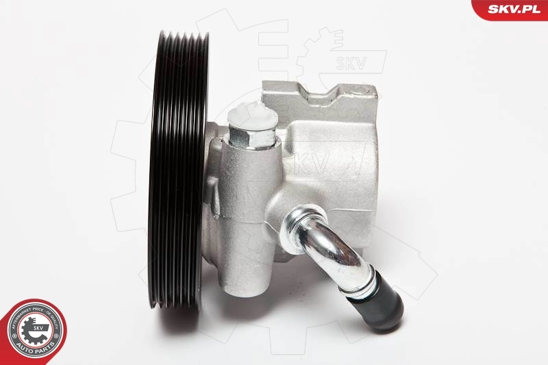 Hydraulic Pump, steering 10SKV002