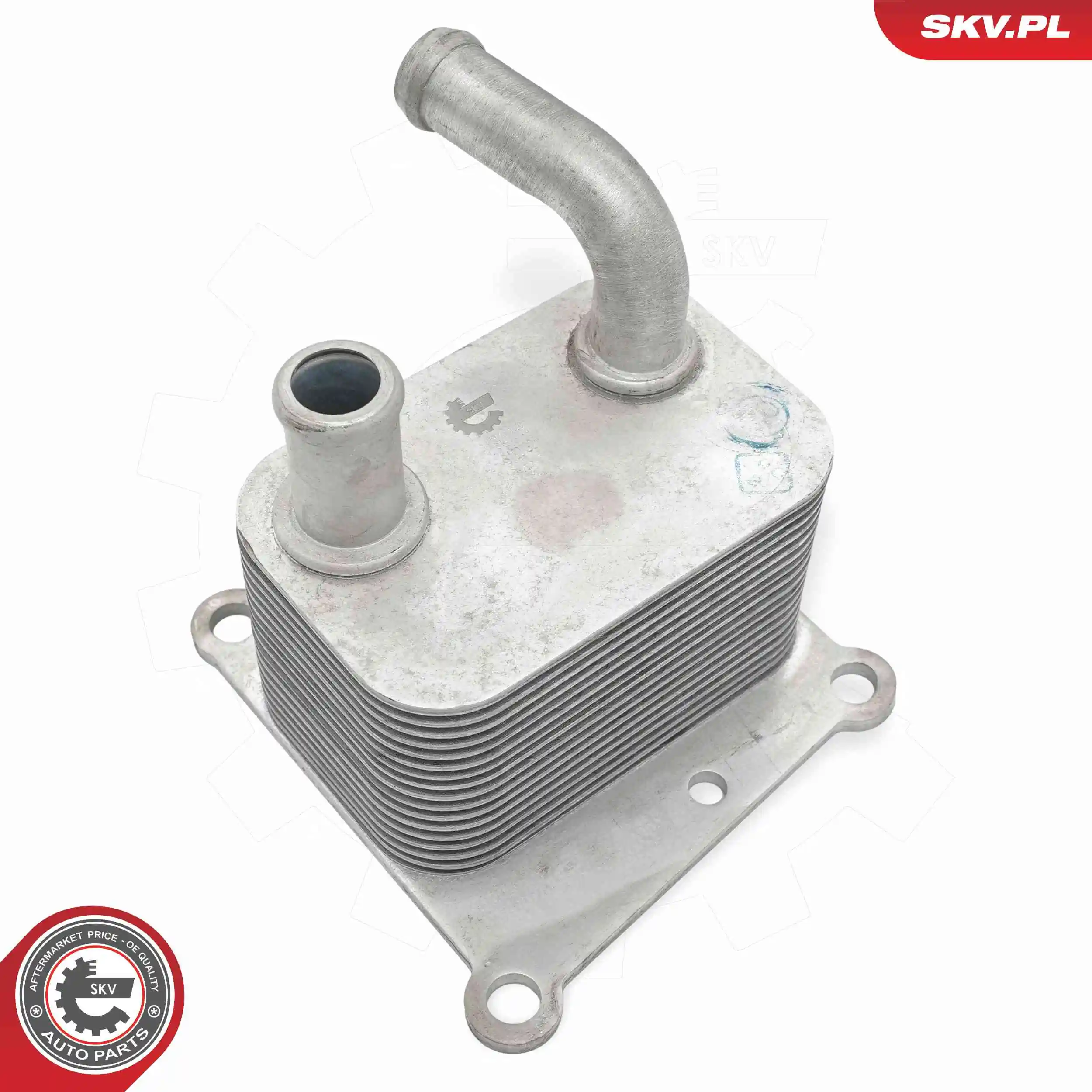 Oil Cooler, engine oil 31SKV358