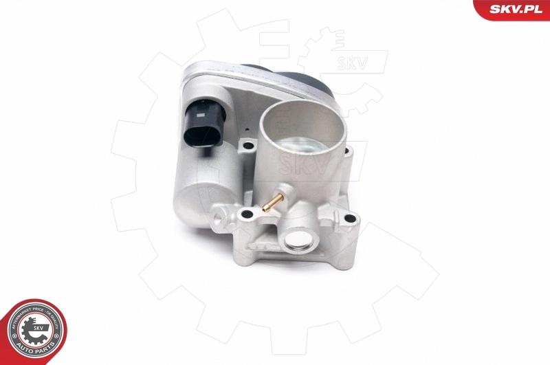Throttle Body 12SKV042