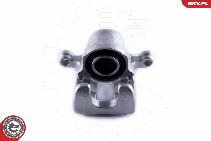 Brake Caliper 55SKV023