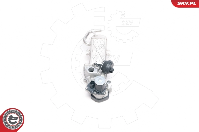 EGR Valve 14SKV094