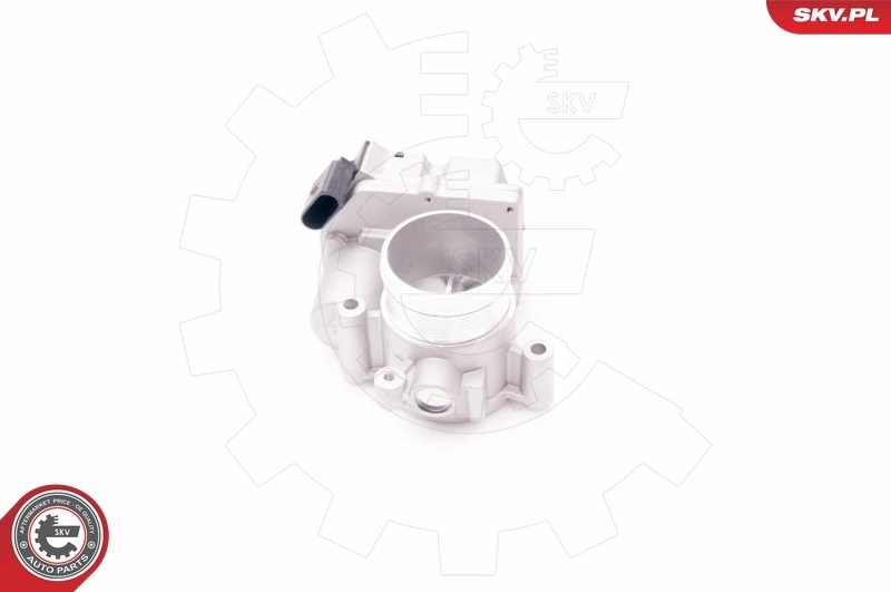 Throttle Body 12SKV063