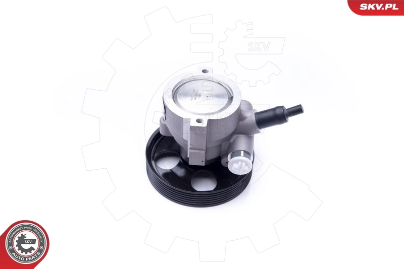 Hydraulic Pump, steering 10SKV281