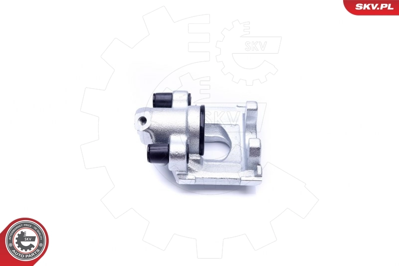Brake Caliper 42SKV853
