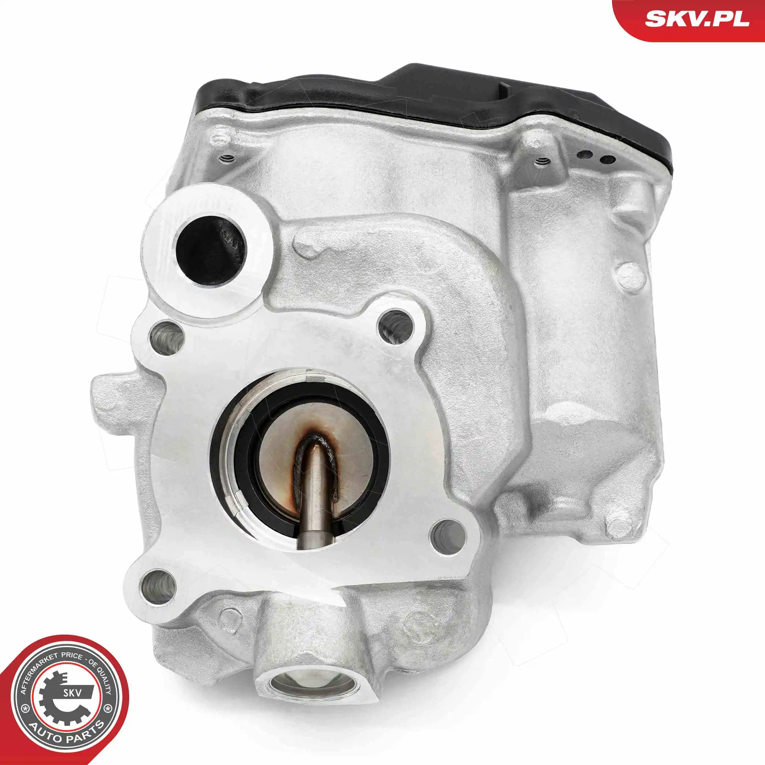 EGR Valve 14SKV259