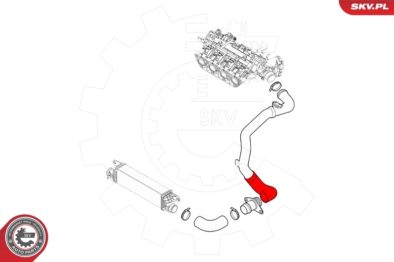 Charge Air Hose 43SKV297