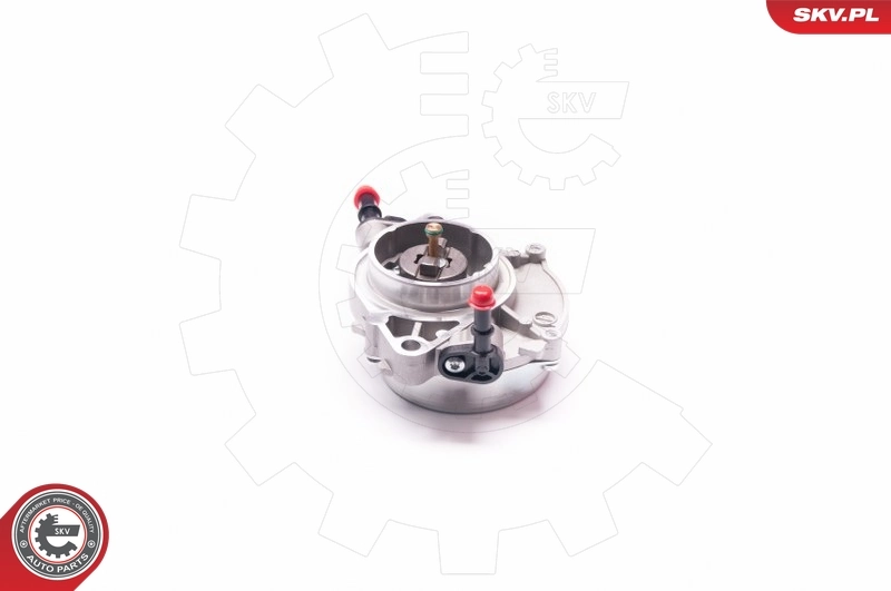 Vacuum Pump, braking system 18SKV021