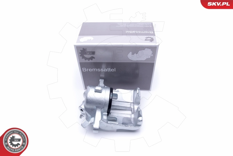 Brake Caliper 50SKV321