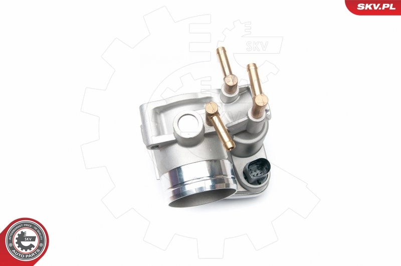 Throttle Body 12SKV047