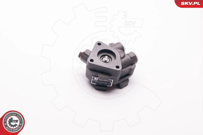 ESEN SKV 1SKV0009 Hydraulic Pump, steering