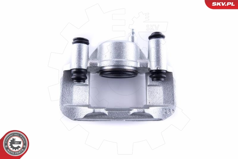 Brake Caliper 55SKV302