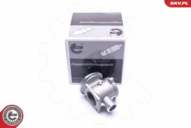 EGR Valve 14SKV178