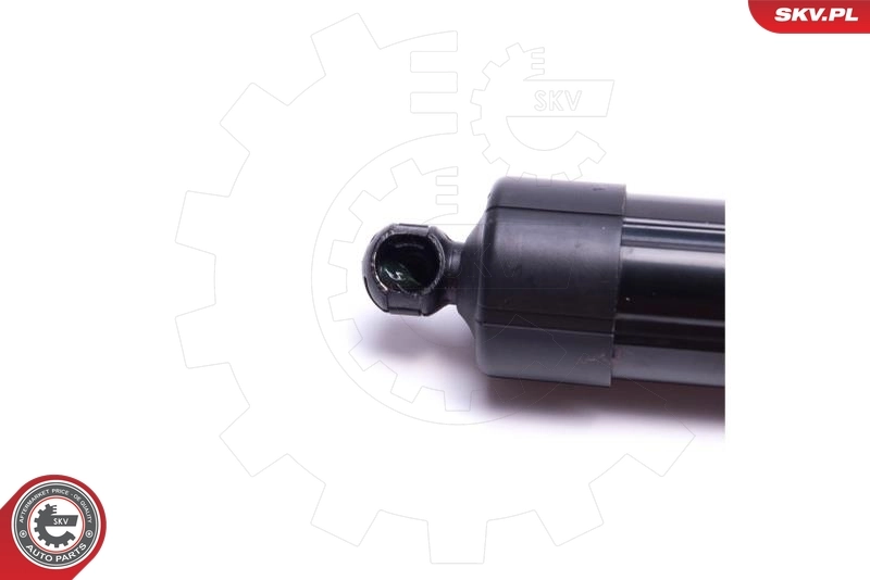 Electric Motor, tailgate 52SKV912