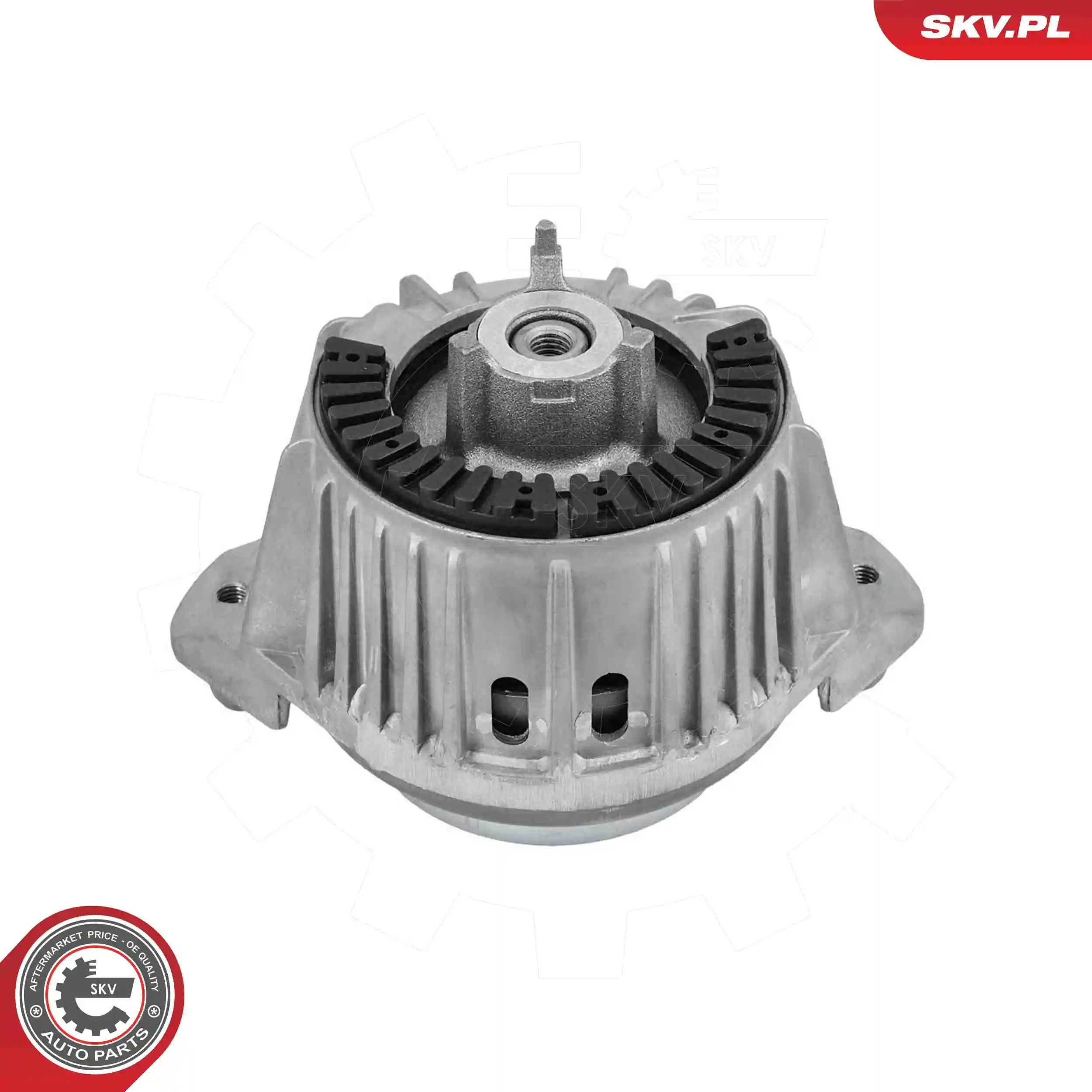 Mounting, engine 75SKV328